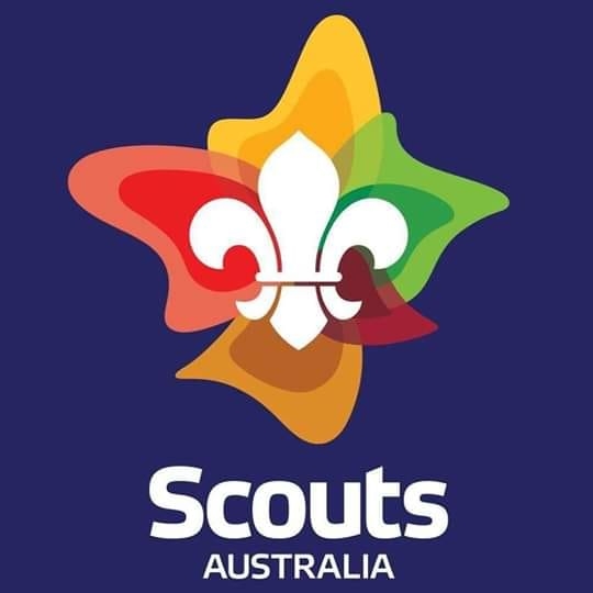 Roma and District Scouts